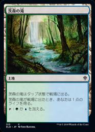 【ELD】【JPN】《茨森の滝/Thornwood Falls》
