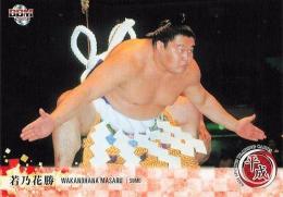 2019 BBM 平成 #031 若乃花勝(大相撲) レギュラーカード