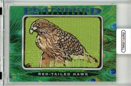 2021 UPPER DECK GOODWIN CHAMPIONS  Red-Tailed Hawk FC-25 Feathered Creatures