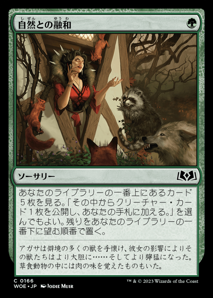mtg woe  コンプリートセット FOIL 日本語版 ミントモール / MINT GAMES MTG(東日本橋) / 【WOE】【JPN