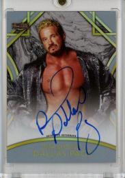 2018 Topps Legends of WWE  Diamond Dallas Page Autographs Silver #ADP 41/50