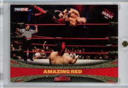 2009 TRISTAR TNA Impact  Amazing Red Gold #17 3/5