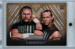 2016 Topps WWE Undisputed  D-Generation X Tag Teams Bronze #UTT8 16/99