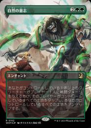 MTG 自然の意志 Foil 日本語 ミントモール / MINT GAMES MTG(東日本橋) / 【WOT】【JPN】【Foil