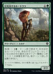 MTG 日を浴びるルートワラ foil 日本語1 値下げ ミントモール / MINT