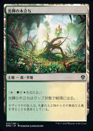 ミントモール / MINT GAMES MTG(東日本橋) / 【DMU】【JPN