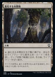 【DMC】【JPN】《進化する未開地/Evolving Wilds》