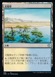 ミントモール / MINT GAMES MTG(東日本橋) / 【CMM】【JPN】《氾濫原