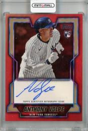 2023 Topps Baseball Japan Edition Anthony Volpe Autographs Gold #TJA-AV RC 【19/25】 New York Yankees