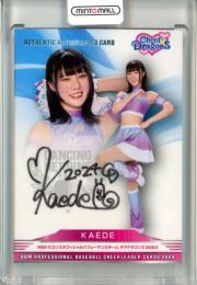 2024 BBM チアリーダーカード DANCING HEROINE KAEDE 直筆サインカード【84/90】 Cheer Dragons