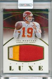 【表裏角若干難あり】2015 PANINI Luxe Joe Montana Game Used Material【19/25 Jersey No.】