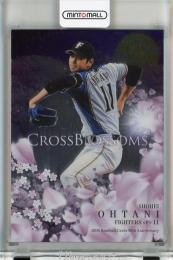 BBM 30周年記念カード 大谷翔平 CROSS BLOSSOMS 北海道日本ハムファイターズ