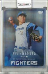 2026 BBM 北海道日本ハムファイターズ 柴田獅子 銀紙ホロ【114/150】