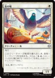 【SPM】【JPN】【Foil】〈004-C〉《街の鳩/City Pigeon》