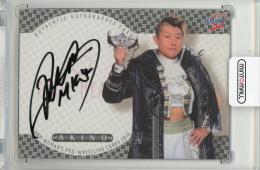2019 BBM 女子プロレスカード TRUE HEART AKINO 直筆サインカード【38/99】