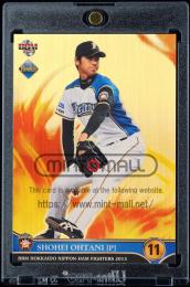2013 BBM 北海道日本ハムファイターズ F02a 大谷翔平 レギュラーパラレル【118/200】