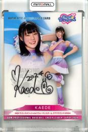 2024 BBM チアリーダーカード DANCING HEROINE KAEDE 直筆サインカード【80/90】 Cheer Dragons