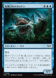 ◆予約◆【DSK】【JPN】《短剣口のメガロドン/Daggermaw Megalodon》