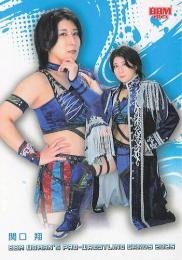 2025 BBM 女子プロレスカード #068 関口翔 レギュラーカード