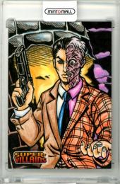 2015 Cryptozoic DC Comics Super Villains  Sketches【1/1】