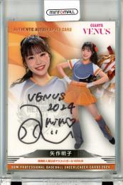 2024 BBM チアリーダーカード DANCING HEROINE 矢作明子 直筆サインカード【31/90】 VENUS