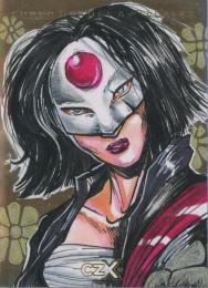 2019 Cryptozoic CZX DC Super Heroes & Super-Villains “ Katana ” Artist Xinjix Katana Sketch Card【1/1】