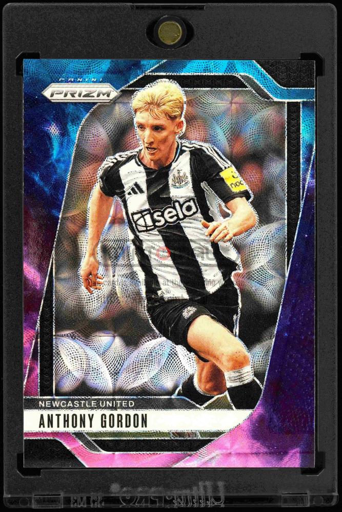 ミントモール / MINT VAULT店 (MSV委託品通販) / 2024-25 Panini Prizm
