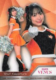 2025 BBM プロ野球チアリーダーカード DANCING HEROINE #V06 川村朱利(巨人/VENUS)【ホロPPパラレル版】レギュラーカード