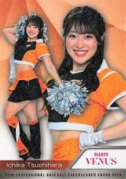 2025 BBM プロ野球チアリーダーカード DANCING HEROINE #V09 士原一花(巨人/VENUS)【ホロPPパラレル版】レギュラーカード