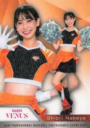 2025 BBM プロ野球チアリーダーカード DANCING HEROINE #V10 鍋谷詩織(巨人/VENUS)【ホロPPパラレル版】レギュラーカード