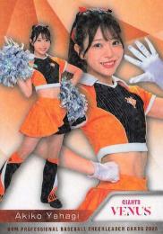 2025 BBM プロ野球チアリーダーカード DANCING HEROINE #V19 矢作明子(巨人/VENUS)【ホロPPパラレル版】レギュラーカード