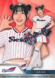 2025 BBM プロ野球チアリーダーカード DANCING HEROINE #P07 HANA(ヤクルト/Passion)【ホロPPパラレル版】レギュラーカード