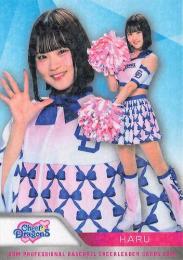 2025 BBM プロ野球チアリーダーカード DANCING HEROINE #D08 HARU(中日/チアドラゴンズ)【ホロPPパラレル版】レギュラーカード