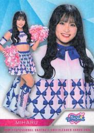 2025 BBM プロ野球チアリーダーカード DANCING HEROINE #D11 MIHARU(中日/チアドラゴンズ)【ホロPPパラレル版】レギュラーカード