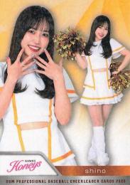 2025 BBM プロ野球チアリーダーカード DANCING HEROINE #H05 shino(ソフトバンク/Honeys)【ホロPPパラレル版】レギュラーカード