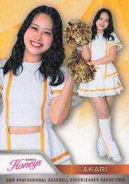 2025 BBM プロ野球チアリーダーカード DANCING HEROINE #H18 あかり(ソフトバンク/Honeys)【ホロPPパラレル版】レギュラーカード