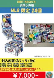 ミント名古屋オリジナル MLB お楽しみ袋 7000