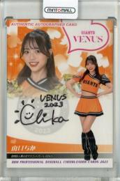 2024 BBM チアリーダーカード DANCING HEROINE 山口ちか  直筆サインカード【27/90】 Venus