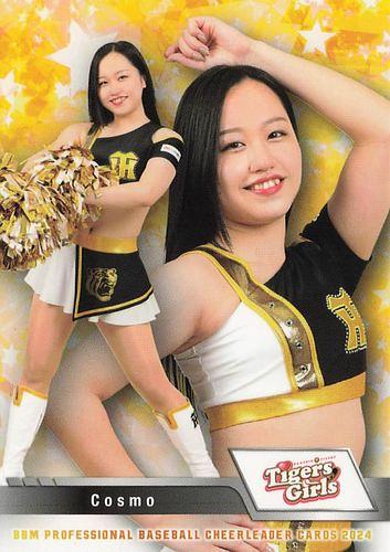 ☆BBM 大掛かり 2024 チアリーダーカード DANCING HEROINE #T02
