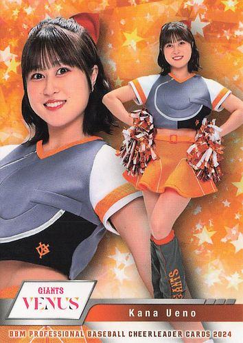 ミントモール / MINT BASE店 (TCシングル通販) / 2024 BBM プロ