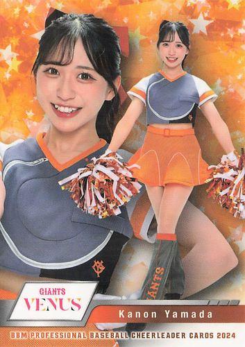 ミントモール / MINT BASE店 (TCシングル通販) / 2024 BBM プロ