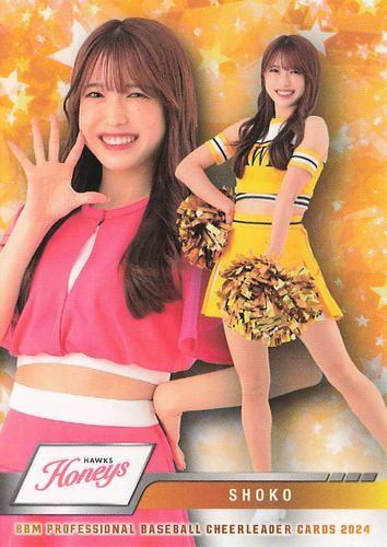 ミントモール / MINT BASE店 (TCシングル通販) / 2024 BBM プロ野球