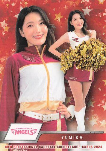 ダンシング ヒロイン プロ野球チアリーダー カード ダンシング ヒロイン プロ野球チアリーダー カードの通販 by