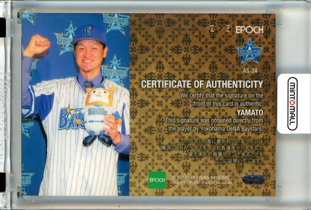 横浜DeNAベイスターズ diana2023全員直筆サインのアルバム