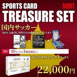2025 オータム・トレジャーボックス　国内サッカー 【国内サッカー福袋】