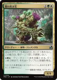 ◆予約◆【FRA】【JP】暴れ咲き花 / Bloombrute(124-U-GW)
