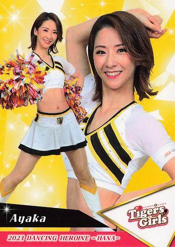 BBM 2023 チアリーダー華 未開封ボックス