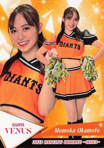 タレントカード momm ミントモール / MINT 池袋店 / 2024 BBM プロ野球チアリーダー
