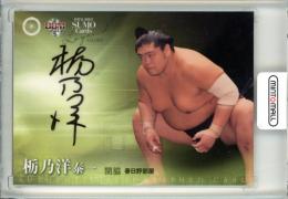 2013 BBM 大相撲 Legend Glory  栃乃洋泰一 直筆サインカード 71/90