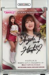 BBM チアリーダー 2025 HARUKA 直筆サインカード【47/89】